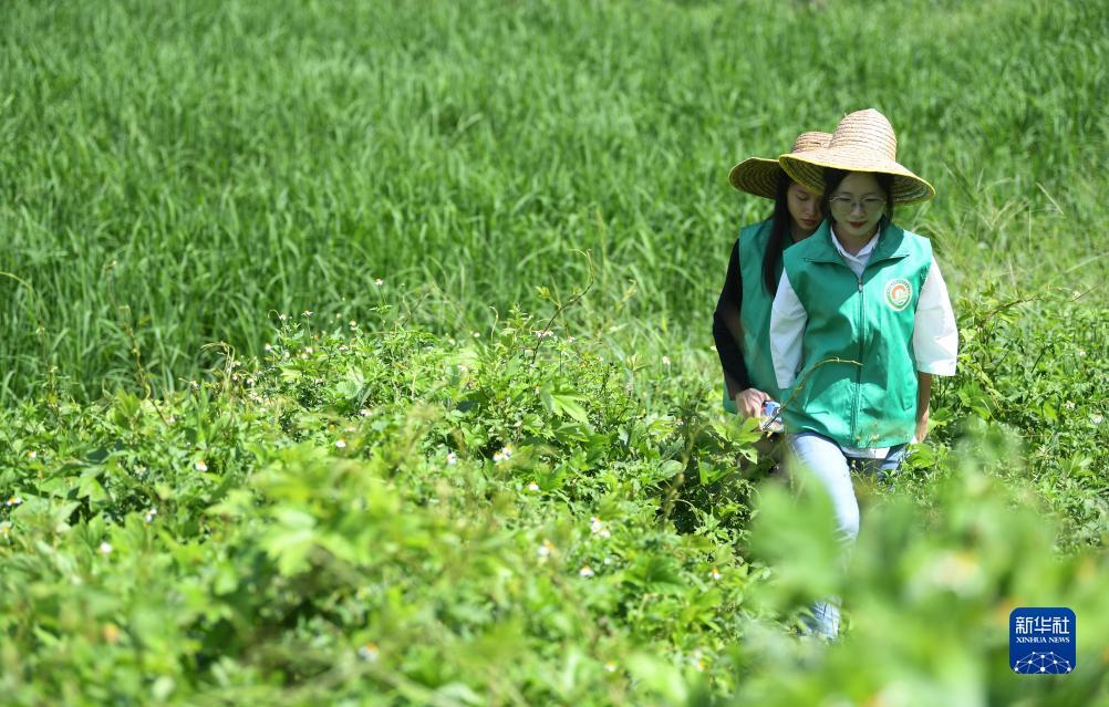 李逵捕鱼游戏下载